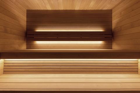 Sauna Fauna Onyx Pre-Assembled Outdoor Home Sauna