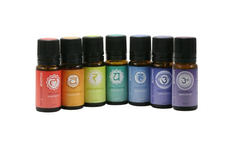 Mr.Steam MS CHAKRA7